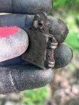 IMG_6545.jpeg