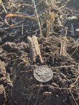 IMG_1433.jpeg