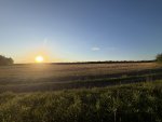IMG_1438.jpeg