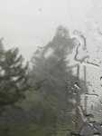 IMG_1370.jpeg
