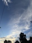 IMG_1350.jpeg