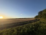 IMG_1437.jpeg