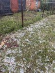 IMG_1384.jpeg