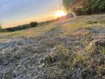 IMG_1326.jpeg