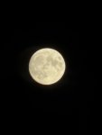 IMG_0931.jpeg
