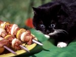 Food_Meat_and_barbecue_cat_lover_barbecue_012316_29.jpg